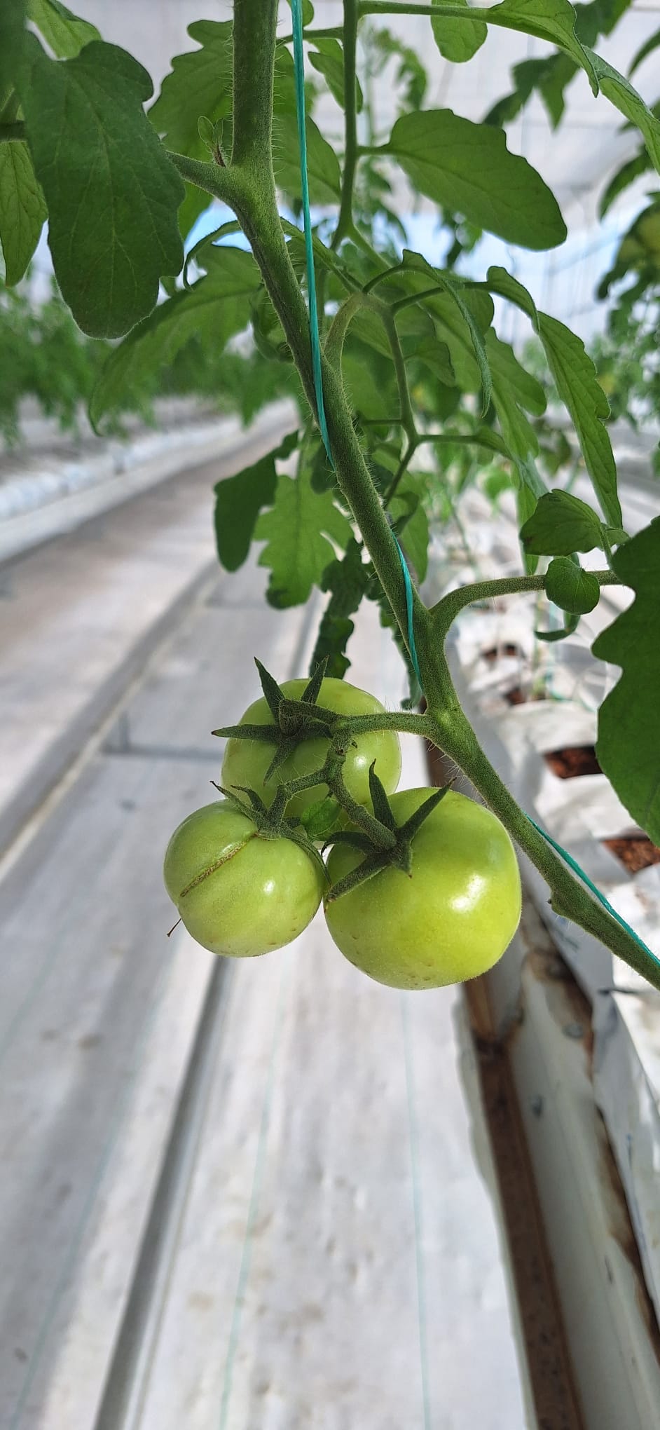 Belediyemiz Çalışıyor