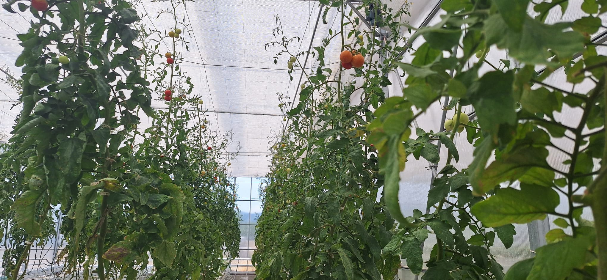 Belediyemiz Çalışıyor