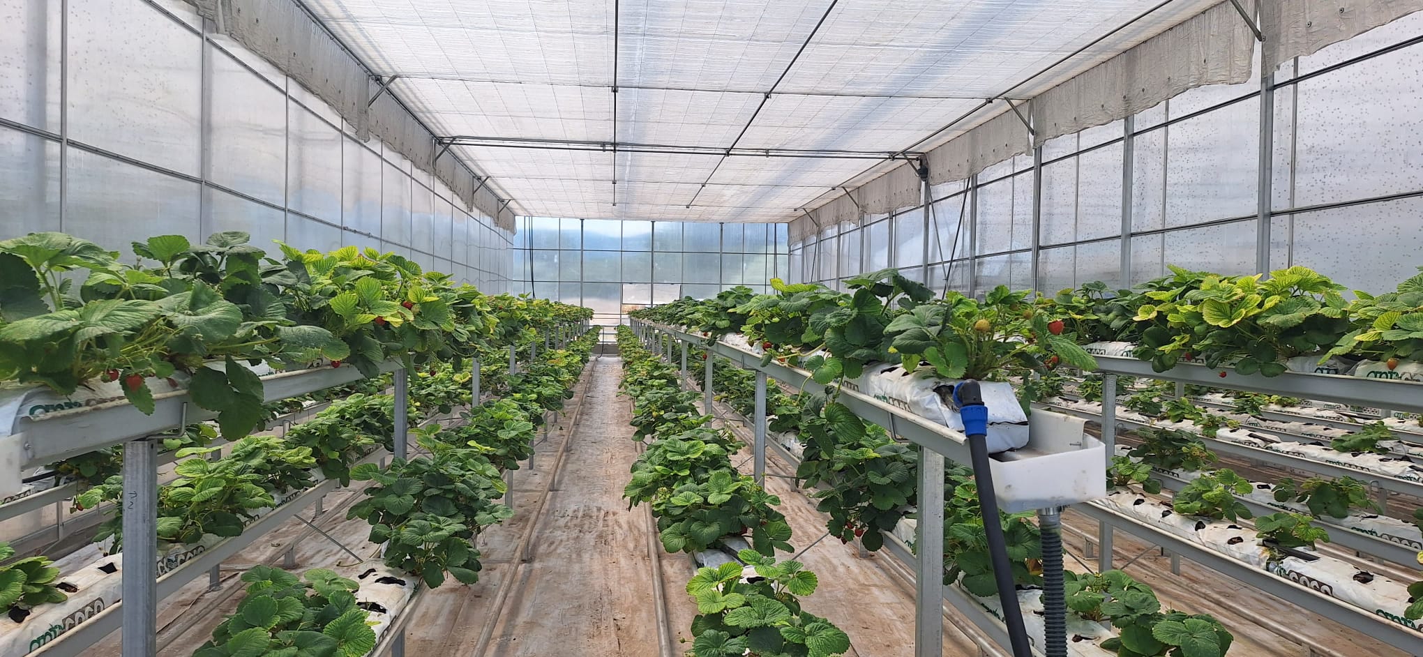 Belediyemiz Çalışıyor