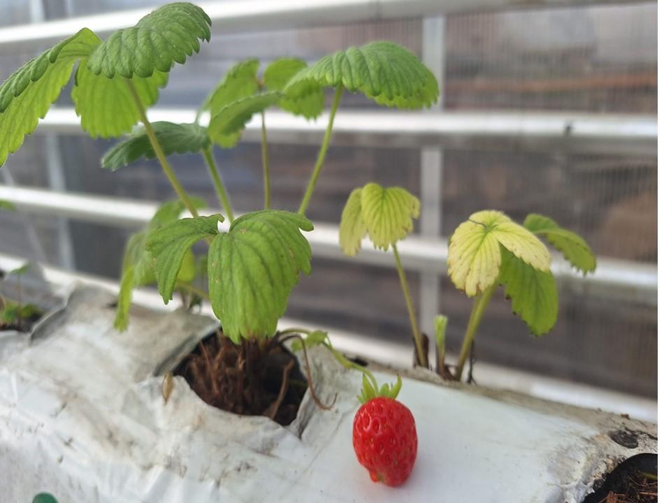 Belediyemiz Çalışıyor